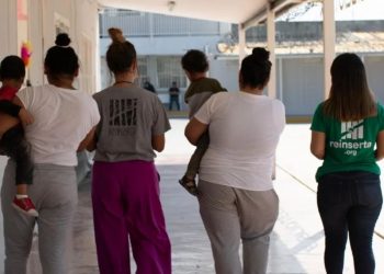 Esto dijo Reinserta ante el aumento de 36% en violencia de género en el primer cuatrimestre de 2023