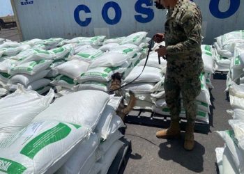 Semar asegura 26.5 toneladas de cocaína