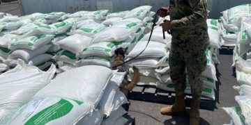 Semar asegura 26.5 toneladas de cocaína