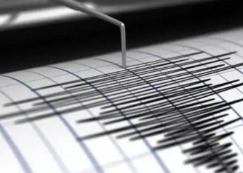 Alerta de tsunami tras terremoto de magnitud 7.7 en Nueva Caledonia