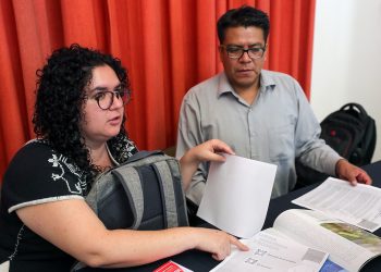 Organizaciones denuncian tala ilegal en norte de México