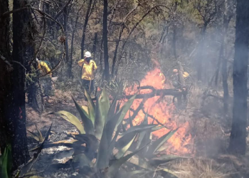 Arde la sierra en Coahuila, activos cinco incendios forestales