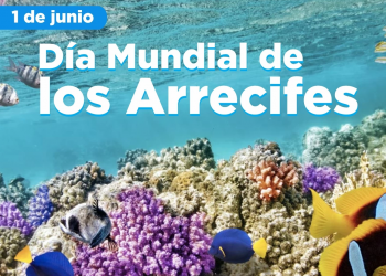 Hoy es el Día Mundial de los Arrecifes