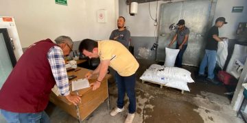 Cayó la ley: Profeco realiza operativo a embotelladoras y productores de hielo