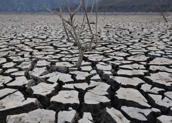 Urgen pescadores y agricultores rescatar la laguna de Metztitlán