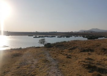 Altas temperaturas comienza a dejar afectaciones en el territorio mexicano