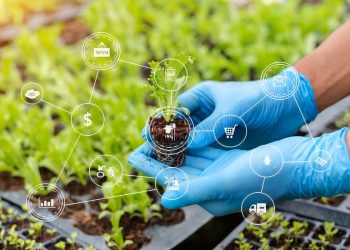 Empresas ven potencial en MABO y agricultura regenerativa: Daniel Madariaga Barrilado