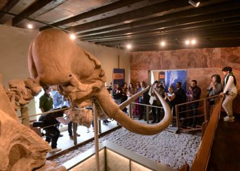 Vuelve a su casa El mamut de Ecatepec.