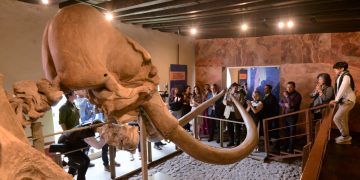 Vuelve a su casa El mamut de Ecatepec.
