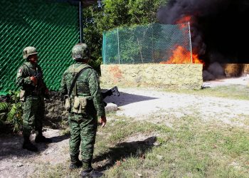Ejército incinera más de 200 kilos de narcóticos
