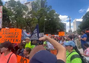 Se lleva a cabo la Marcha en contra del maltrato Animal