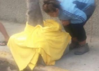 Muere bebé abandonado en Ecatepec