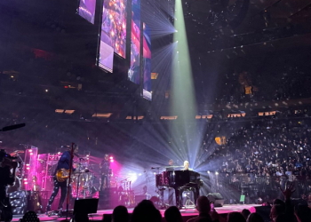 Cantante estadounidense pone fin a conciertos