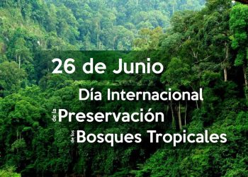 Día Internacional de los Bosques Tropicales