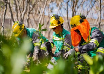 Compañía Minera Cuzcatlán avanza hacia la ecoeficiencia