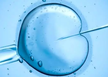 Avance revolucionario: Científicos crean embriones humanos sintéticos