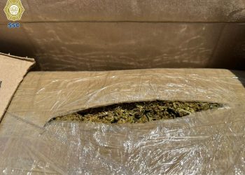 Detienen a dos personas en la zona centro de la CDMX, transportaban cien kilos de marihuana