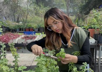 Jóvenes en acción por el planeta