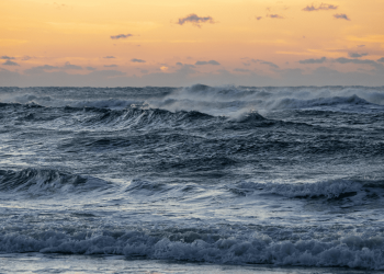 ONU adopta finalmente su nuevo tratado para proteger los océanos