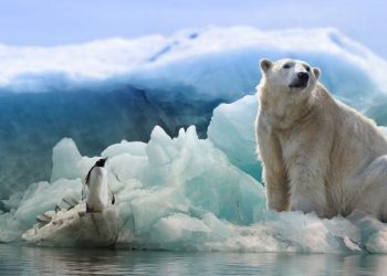 ¿Cuándo el Ártico podría experimentar su primer verano sin hielo marino flotante?