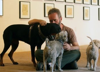Este museo podrá ser visitado por mascotas