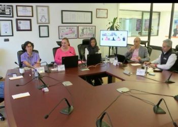 Reporta INE instalación de 100% de casillas y afluencia alta de votantes: Taddei Zavala