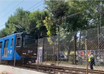 Se restablece el servicio en el Tren Ligero