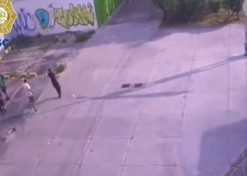 Perrito sale en defensa de su dueño y lo balacean