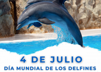 Día Mundial de los Delfines en Cautiverio