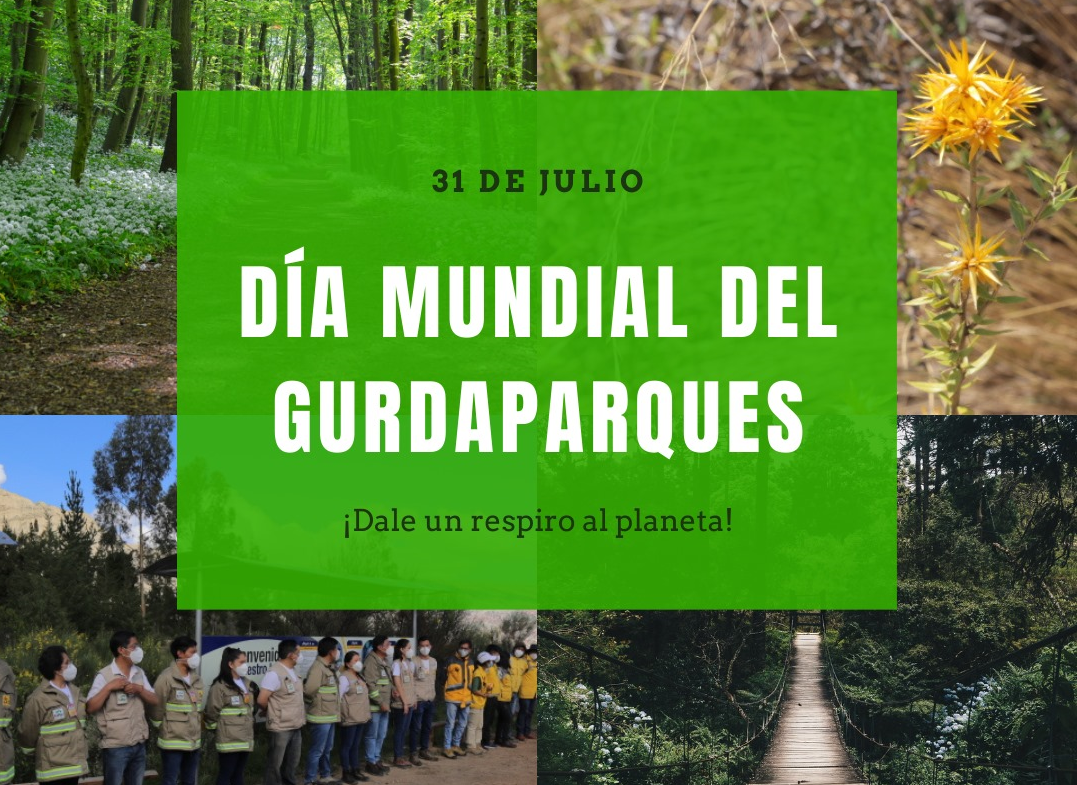 Día Mundial De Los Guardas Forestales Enfoque Noticias 8591