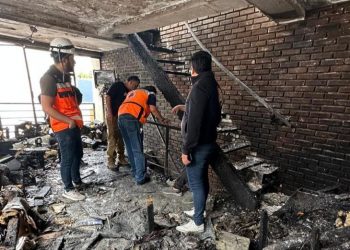 Mueren 6 perritos tras incendio en la Nápoles