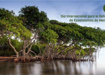 Día Internacional de la defensa del Ecosistema de Manglares