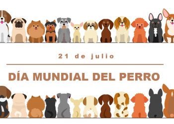 Día Mundial del Perro