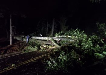 Deja lluvia afectaciones en cuatro municipios de Morelos