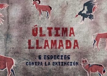 Última llamada, una esperanza para los animales en peligro de extinción.