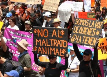 López Obrador enviará iniciativa para establecer un Día del trato humano y justo a los animales