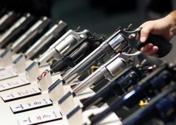 Las empresas no pueden ser inmunes cuando violan una ley federal estatal: Celorio 