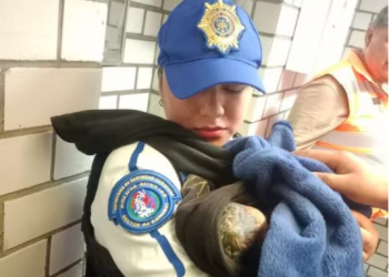 Nace bebé en del Metro Acatitla 