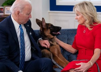 Uno de los perros de Biden está implicado en varios incidentes en la Casa Blanca