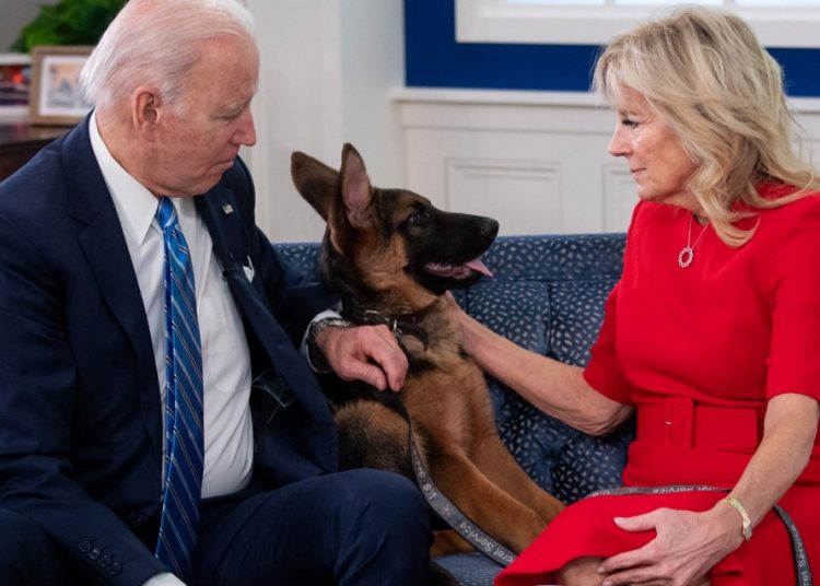 US President Joe Biden and US First Lady Jill Biden, look at their new dog Commander, after speaking virtually with military service members to thank them for their service and wish them a Merry Christmas, from the South Court Auditorium of the White House in Washington, DC, on December 25, 2021. (Photo by SAUL LOEB / AFP)