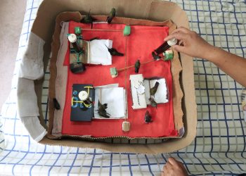 Un “hospital” de colibríes da vida a estas aves heridas y huérfanas en Ciudad de México