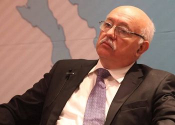 Auditor Colmenares está siendo tapadera del Gobierno Federal: María Elena Pérez