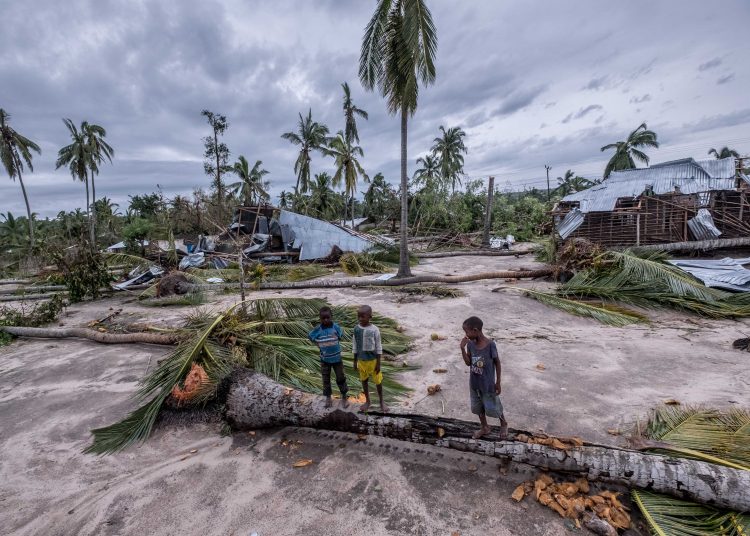 Children walk over a falllen palm tree in the town of Macomia in northern Mozambique, which was hit hard by cyclone Kenneth.