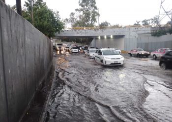 Las lluvias de anoche dejaron encharcamientos y árboles caídos en la CDMX