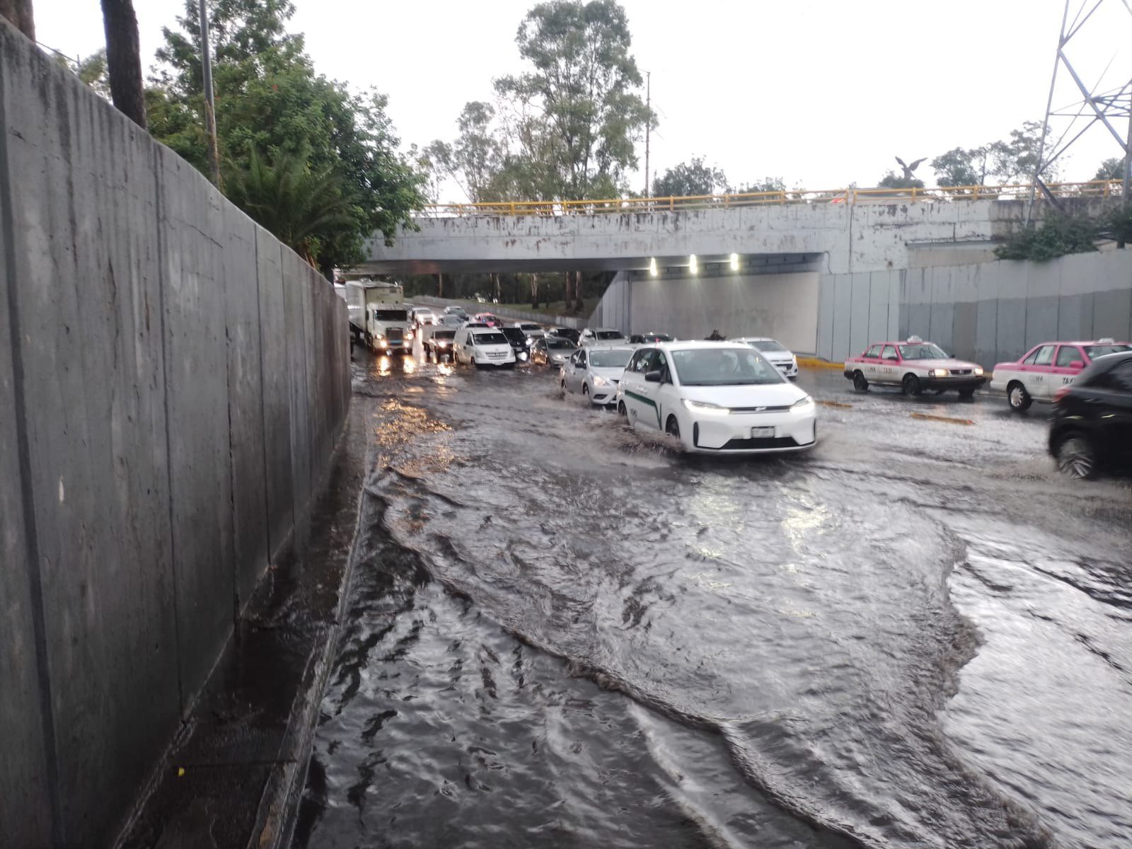 Las Lluvias De Anoche Dejaron Encharcamientos Y árboles Caídos En La Cdmx Enfoque Noticias