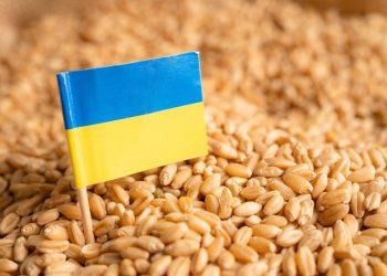 ONU intenta que Rusia extienda el acuerdo de exportación de cereales de Ucrania