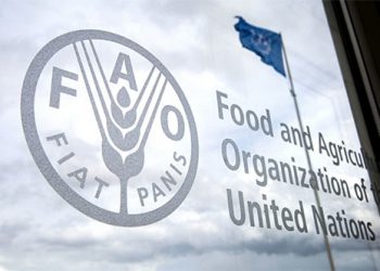 Te decimos cuando se llevará a cabo la Cumbre de las Naciones Unidas sobre los Sistemas Alimentos