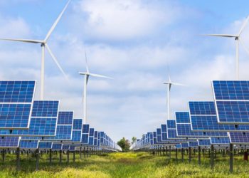 Lamentan la falta de acuerdo sobre energía renovable del G20