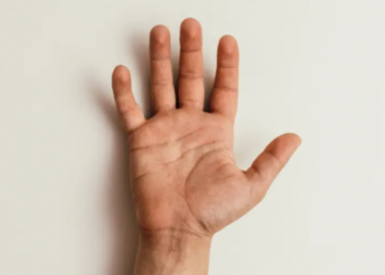 ¿Sabías que el olor de la mano puede revelar el sexo de una persona?