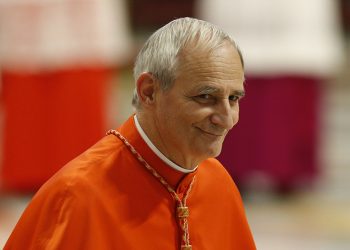 ¿A qué viajará el enviado del papa para mediar en la guerra en Ucrania a Washington?